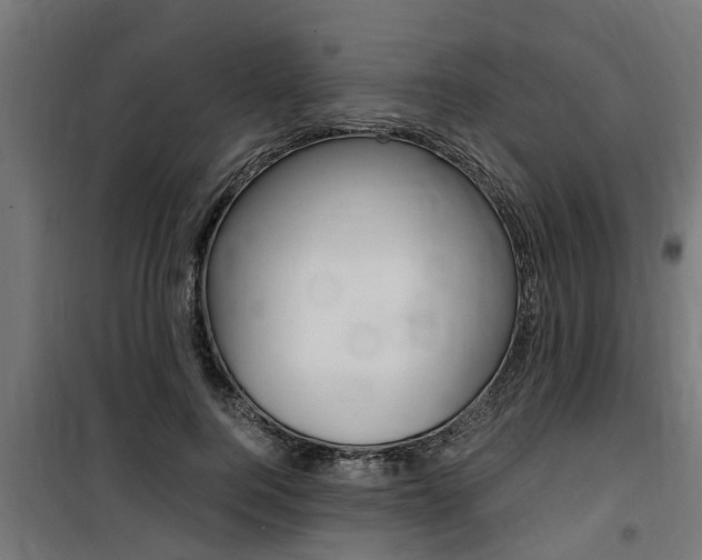 X0000100760744200806190908