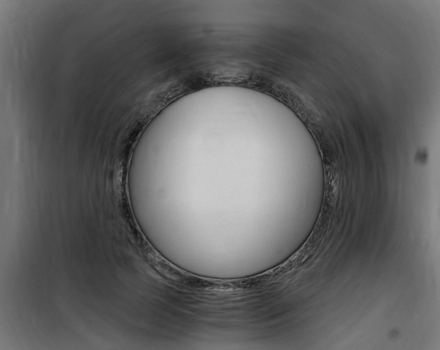 X0000100760745200806190908