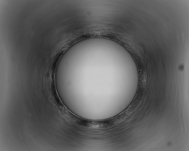 X0000100760746200806190908