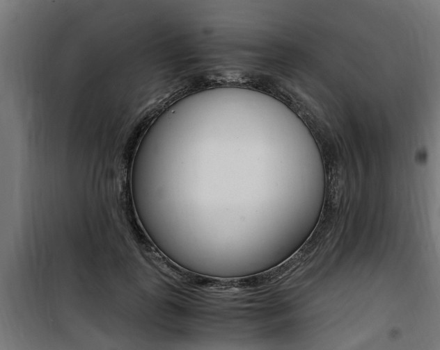 X0000100760747200806190908