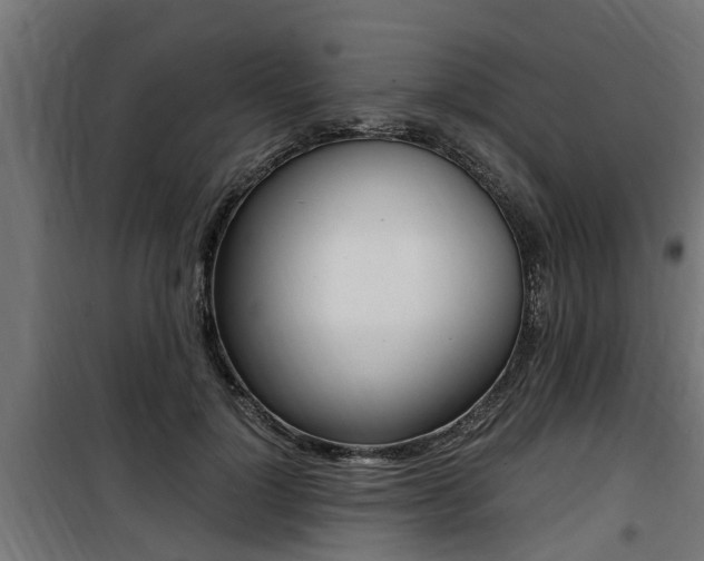 X0000100760748200806190908