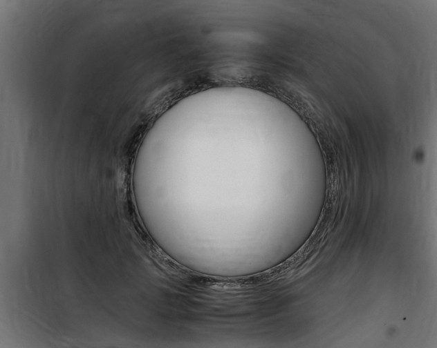 X0000100760749200806190908