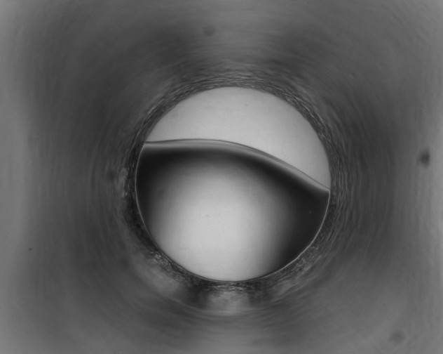 X0000100760750200806190908