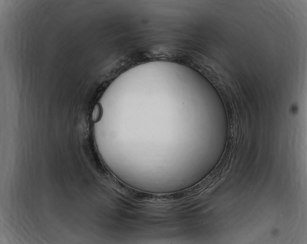 X0000100760751200806190908