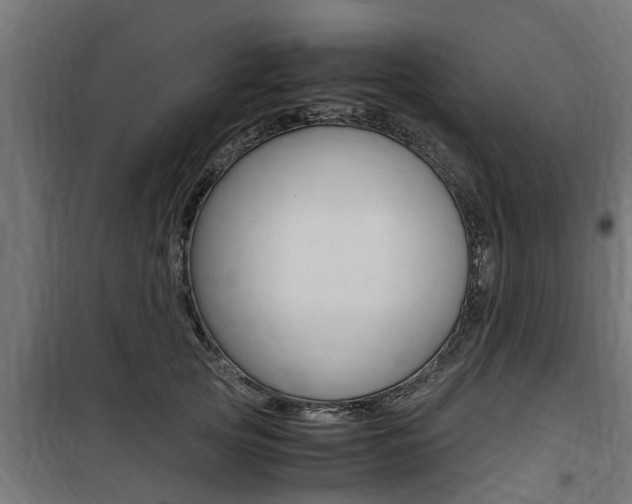 X0000100760753200806190909