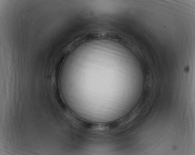 X0000100760754200806190909