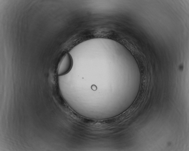 X0000100760755200806190909