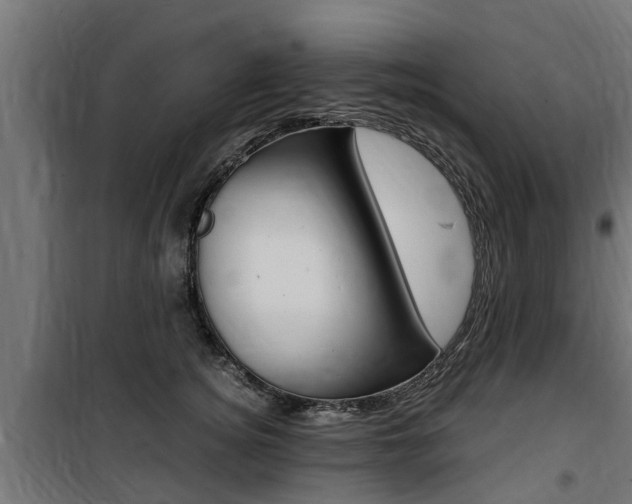 X0000100760756200806190909