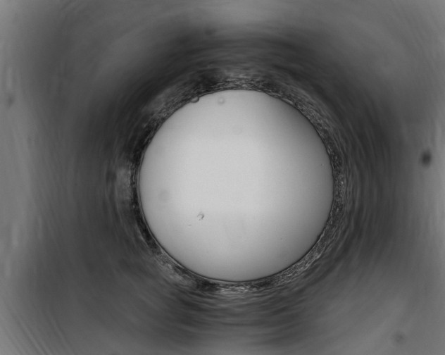 X0000100760757200806190909