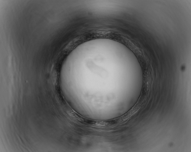 X0000100760758200806190909