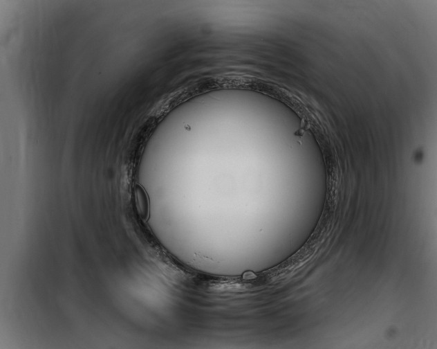 X0000100760759200806190909