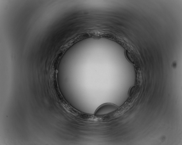 X0000100760760200806190909