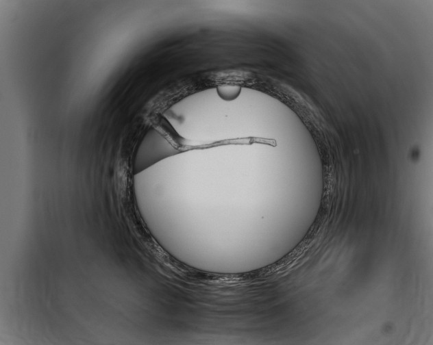 X0000100760761200806190909