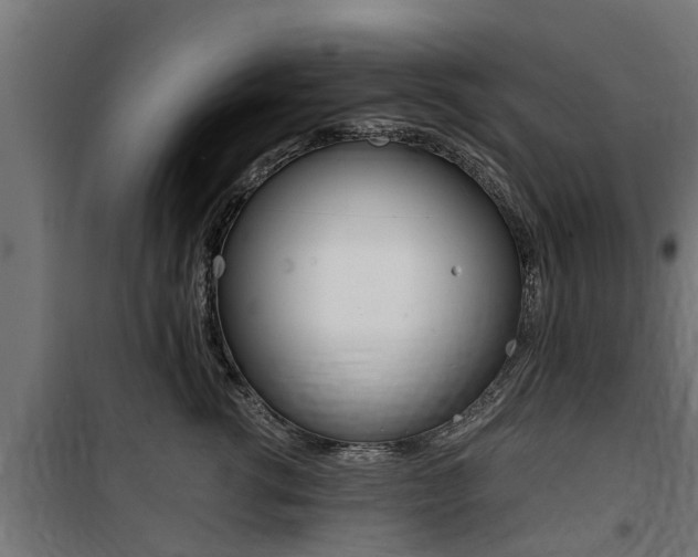 X0000100760762200806190909