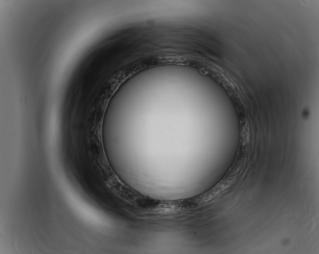 X0000100760764200806190909