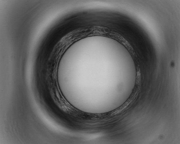 X0000100760765200806190909