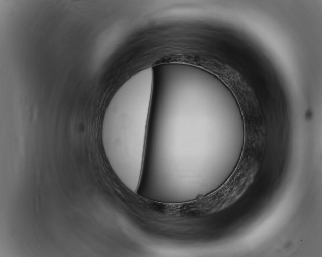 X0000100760766200806190909