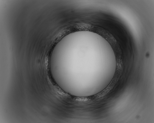 X0000100760767200806190909