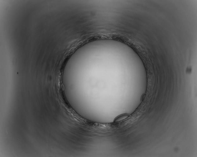 X0000100760768200806190909