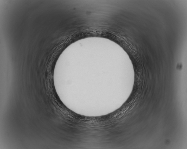 X0000100760769200806190908