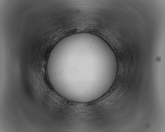 X0000100760770200806190908