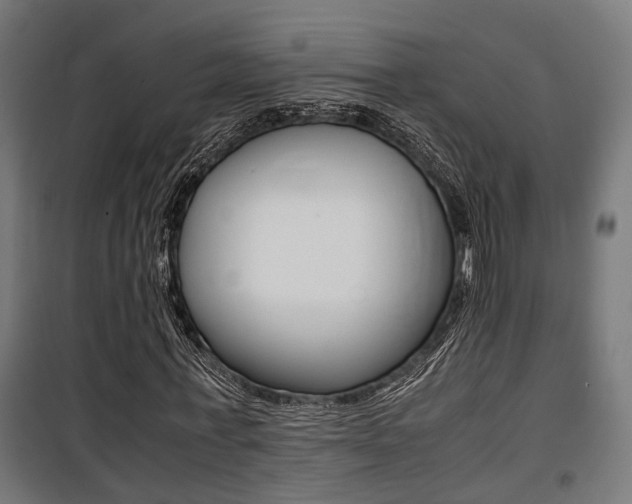 X0000100760771200806190908