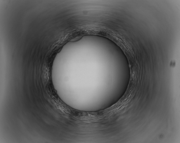 X0000100760772200806190908