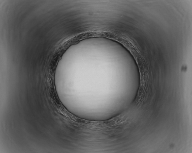 X0000100760773200806190908