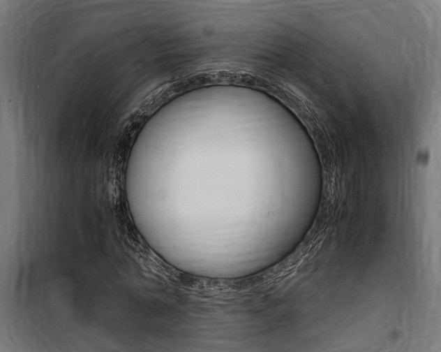 X0000100760774200806190908