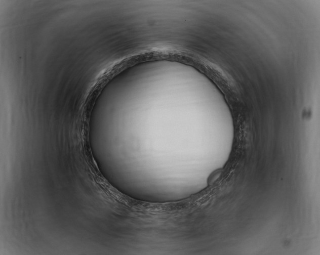 X0000100760776200806190908