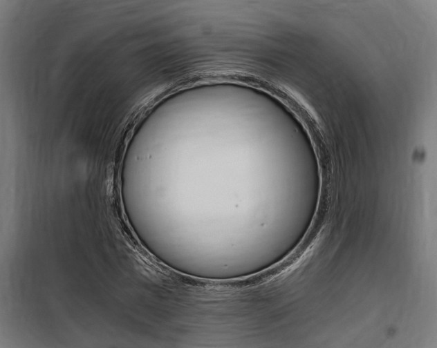 X0000100760777200806190908