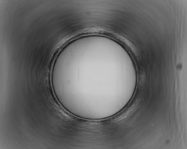 X0000100760778200806190908