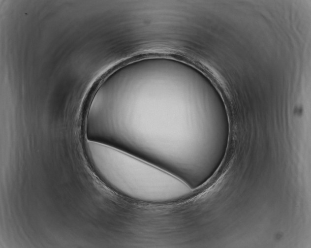 X0000100760779200806190908