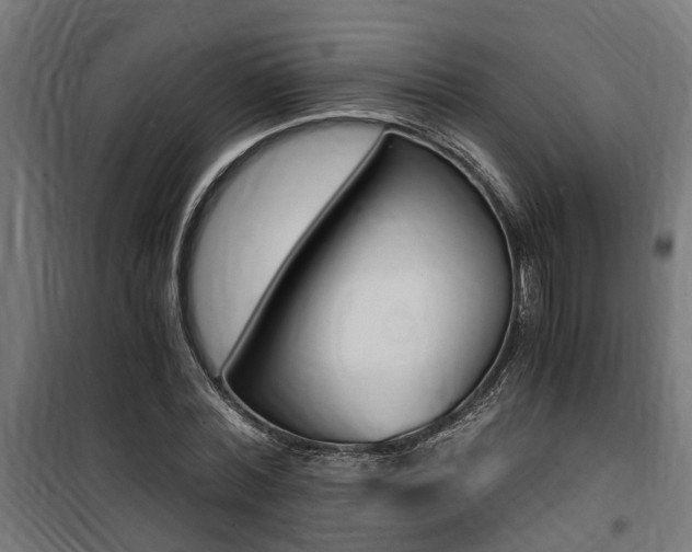 X0000100760780200806190908