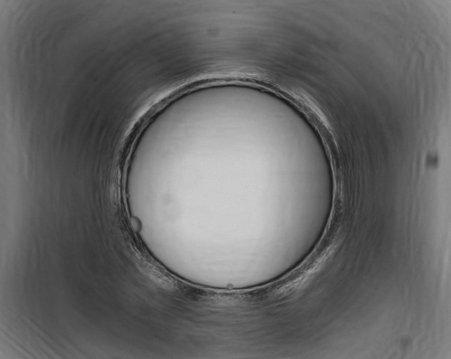 X0000100760781200806190908