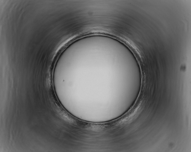 X0000100760782200806190908