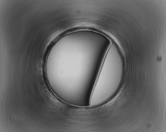 X0000100760783200806190908