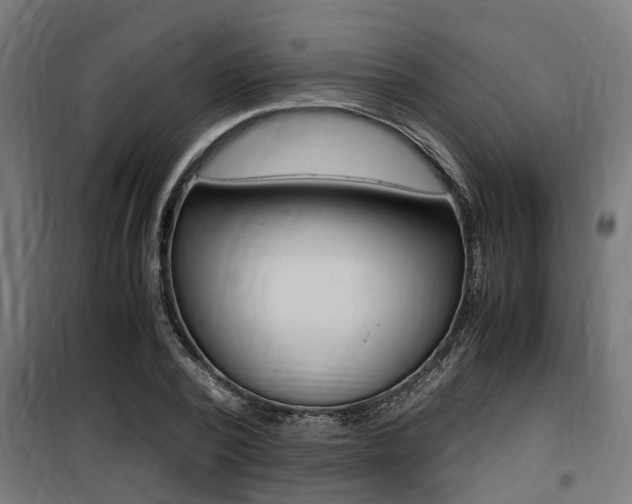 X0000100760784200806190908