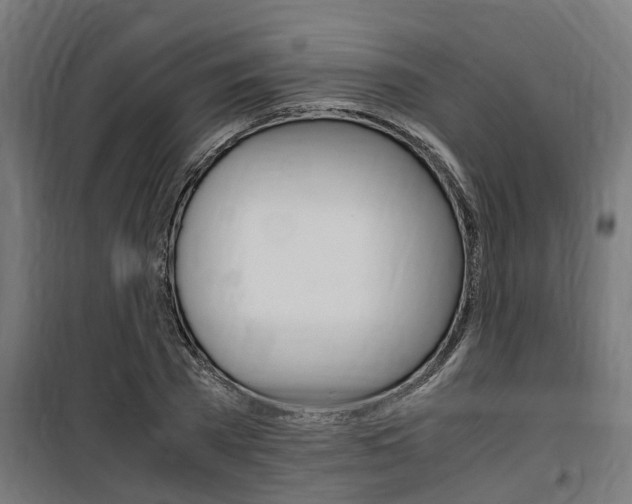 X0000100760785200806190908