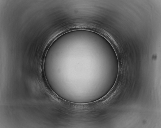 X0000100760786200806190908