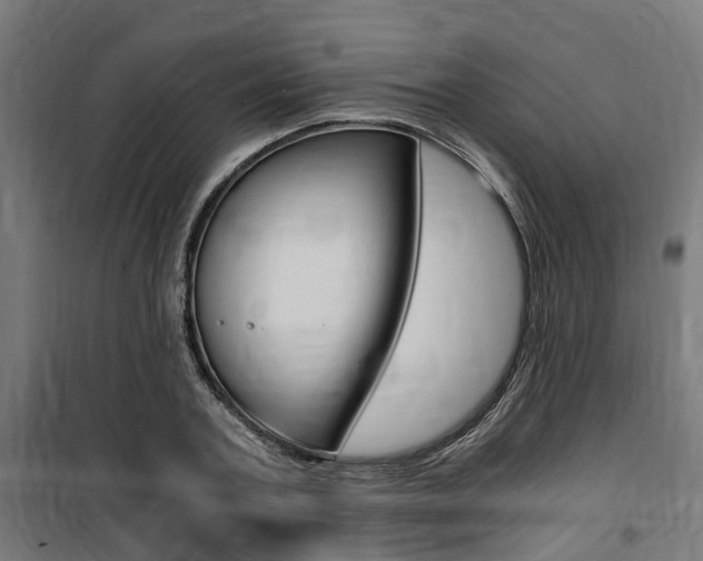 X0000100760787200806190908