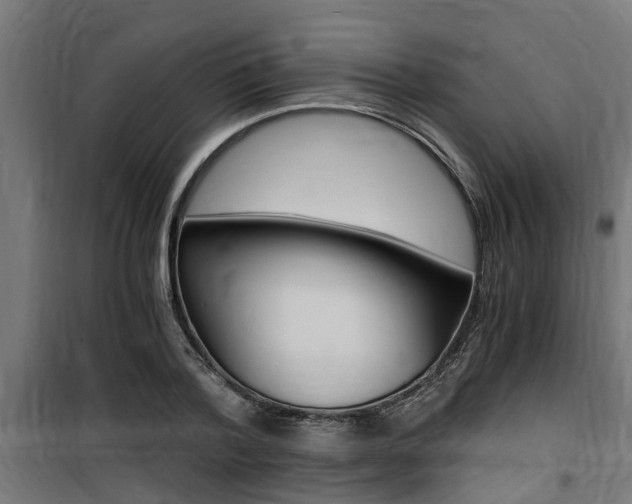 X0000100760788200806190908