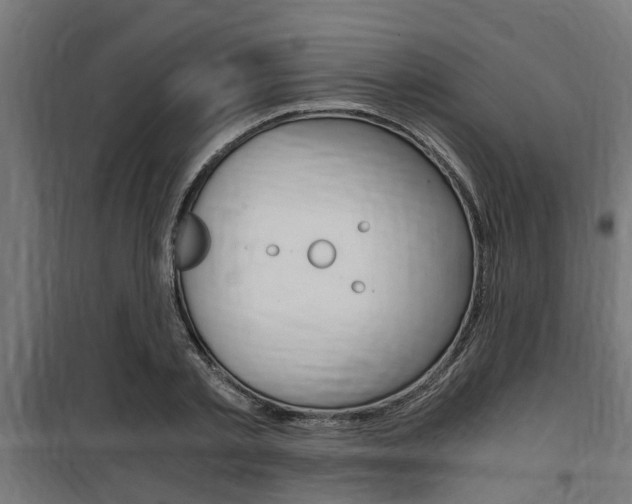 X0000100760789200806190908