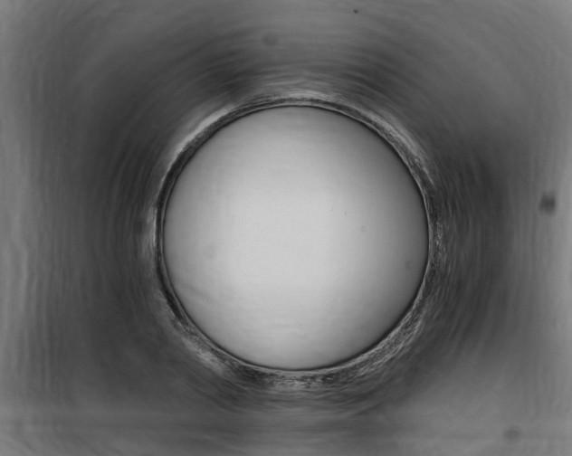 X0000100760790200806190908