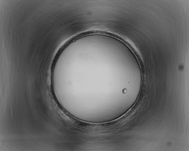 X0000100760791200806190908