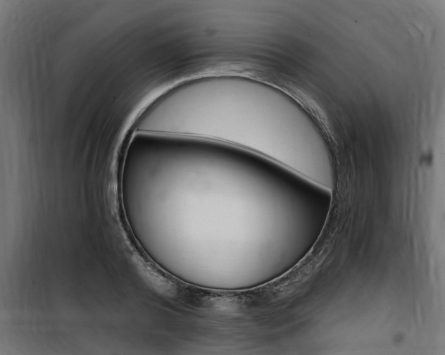 X0000100760792200806190908