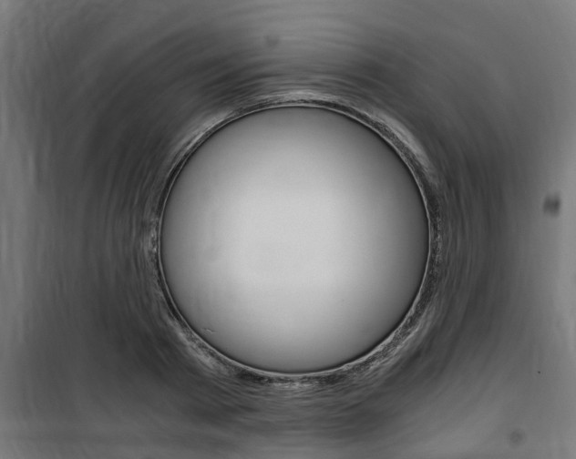 X0000100760793200806190908