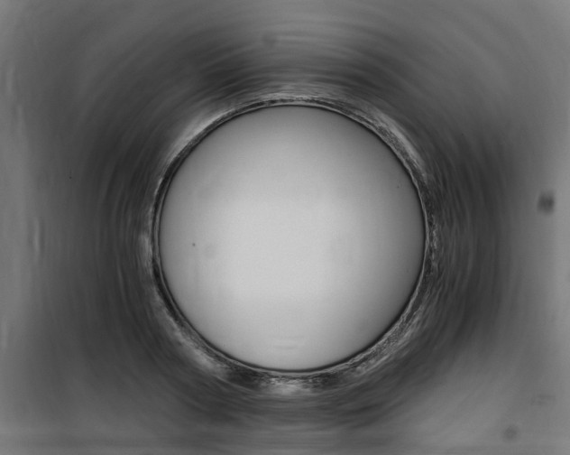 X0000100760794200806190908