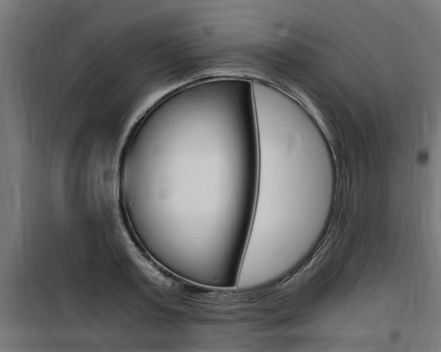 X0000100760795200806190908