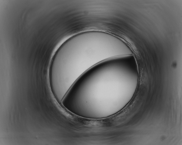 X0000100760796200806190908